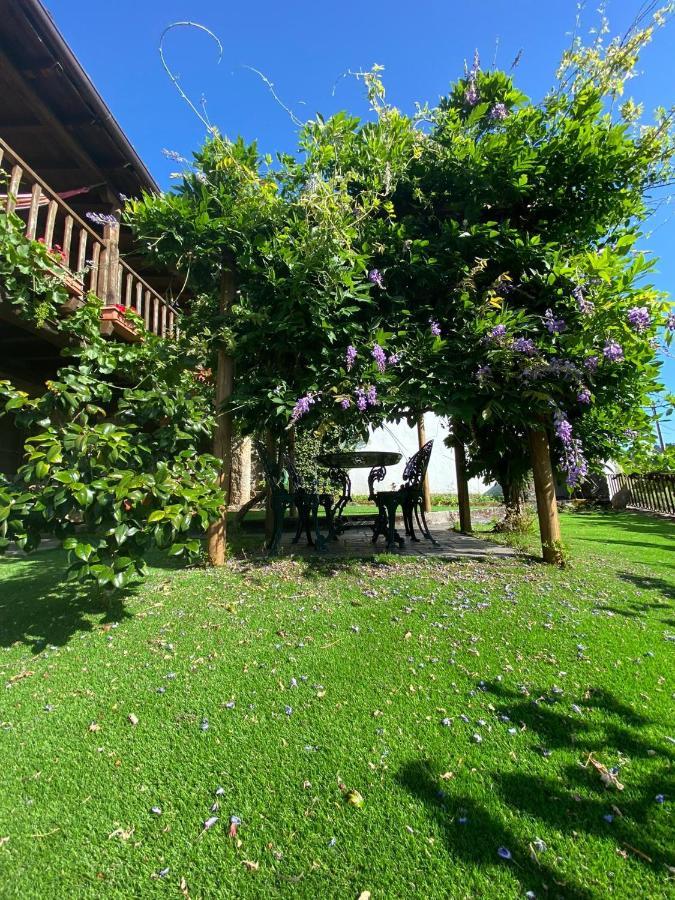 Affittacamere Casa Do Pomar Bragança Esterno foto