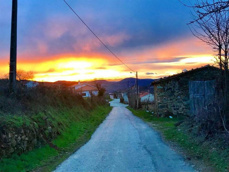 Affittacamere Casa Do Pomar Bragança Esterno foto