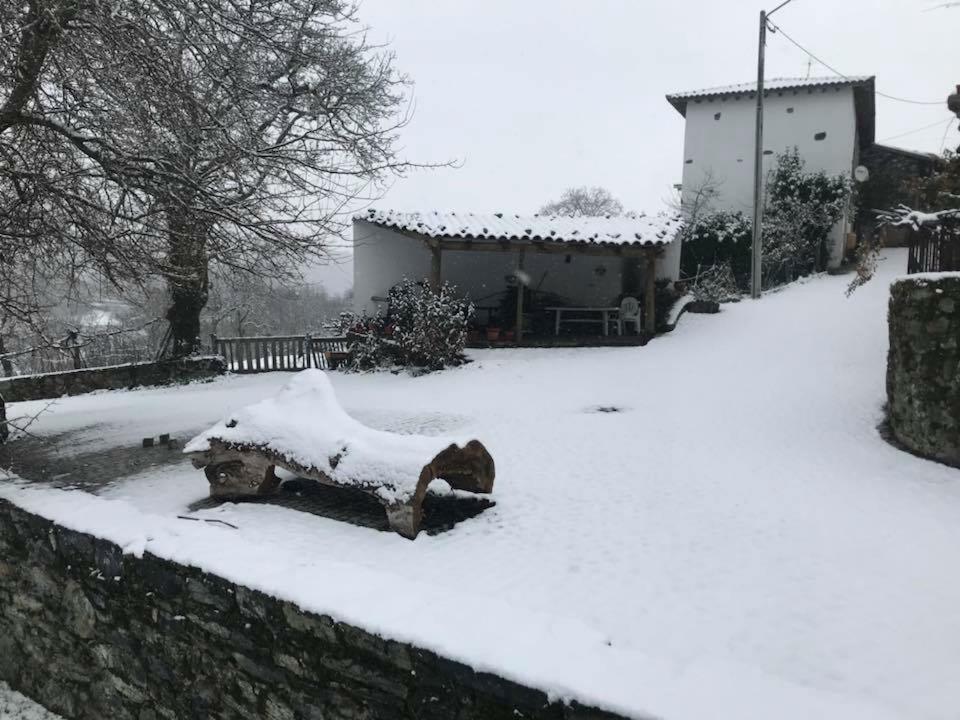 Affittacamere Casa Do Pomar Bragança Esterno foto